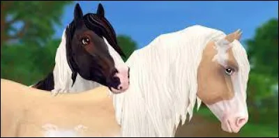 Comment s'appelle cette race ?