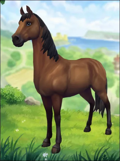 Peut-on changer la couleur de la robe du jorvikois sang-chaud (le cheval de départ) ?