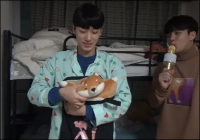 Quel membre a une peluche nommé Shiber ?