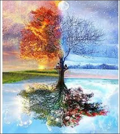 Et, pour finir quelle saison penses-tu être ?