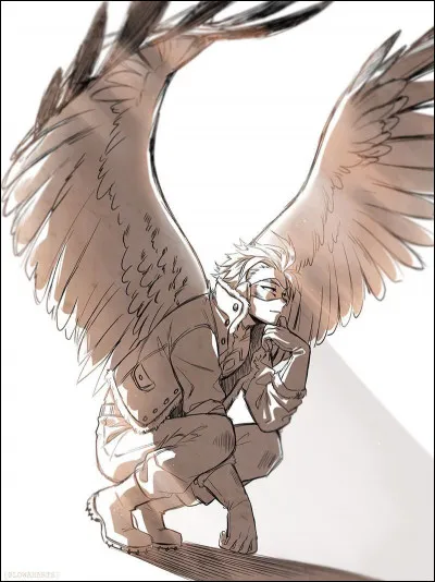 Quelle est l'identité de Hawks ?