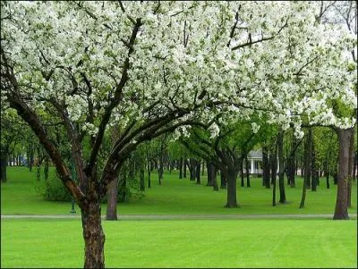 A cause de ce film, la ville est associée dans le monde entier, un peu injustement ...
