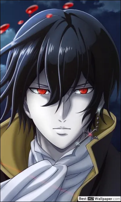 Quel est cet animé ?