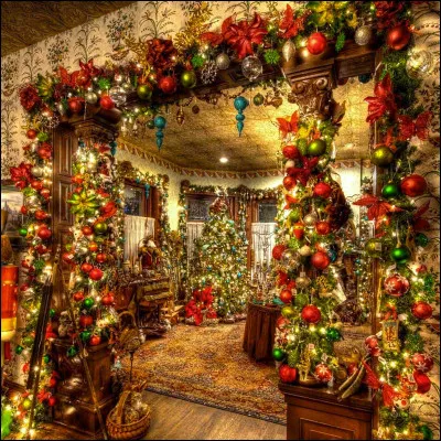 Quelle image te parle le plus ?