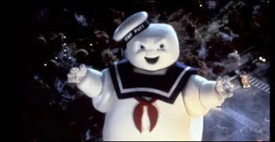 Ray Parker Jr a interprété la chanson d'un célèbre film de fantômes, il s'agit de :