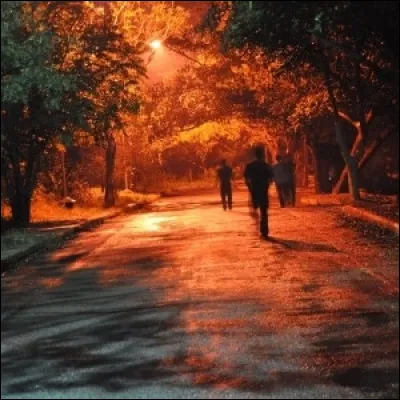 Cette chanson de 1986, du groupe français Images, a rencontré un tel succès qu'une version anglaise intitulée "Love Emotion" a vu le jour.