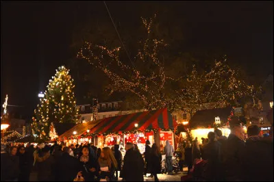 Quel marché préfères-tu ?