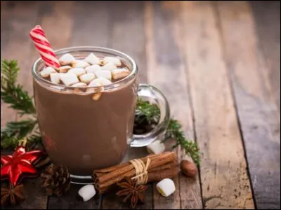 Quelle sucrerie de Noël préfères-tu ?