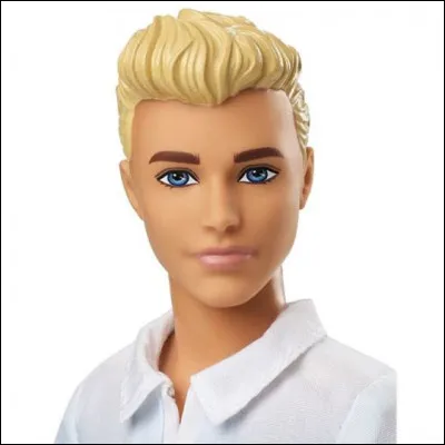 Comment s'appelle le compagnon de Barbie ?