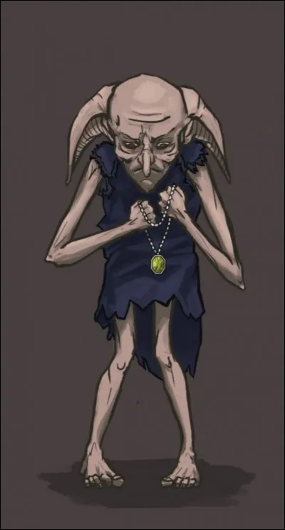 C'était l'elfe de Regulus Black.