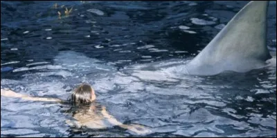 Comme les requins mécaniques conçus pour ce film fonctionnaient mal, le réalisateur suggéra la présence d'une nageoire de requin avec une musique inquiétante. Quel est ce film ?