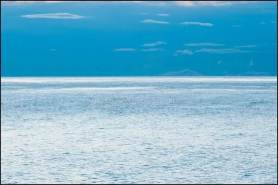 Laquelle de ces couleurs n'apparaît pas sur le drapeau syrien ?