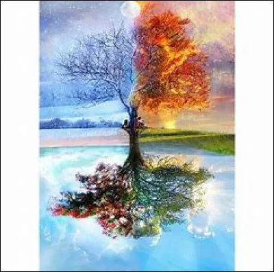 Quelle est ta saison préférée ?