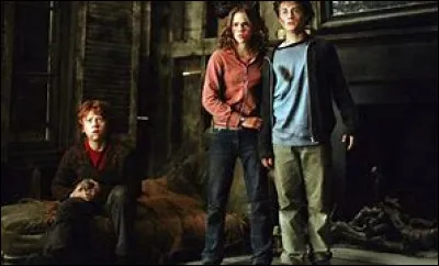 Dans le troisième film d'Harry Potter "Le prisonnier d'Azkaban" comment Hermione arrive-t-elle à suivre tous les cours ?
