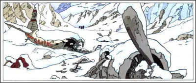 Cette image tragique, à peine retouchée, devrait vous inspirer une réflexion juste : laquelle ?