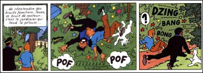 Tout à l'air calme, lorsque nos trois amis font une rencontre percutante : laquelle ?