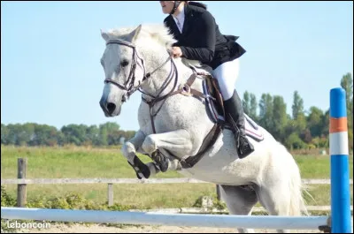 Quelle est ta couleur préférée ?