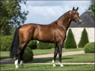 Quelle allure préfères-tu ?