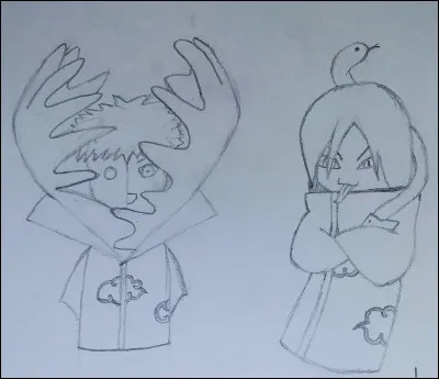 Qui sont ces deux membres de l'Akatsuki ?