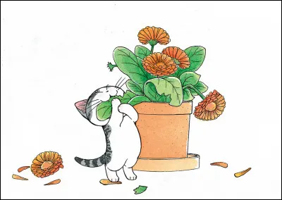 Connais-tu le livre "Chi : une vie de chat " ?