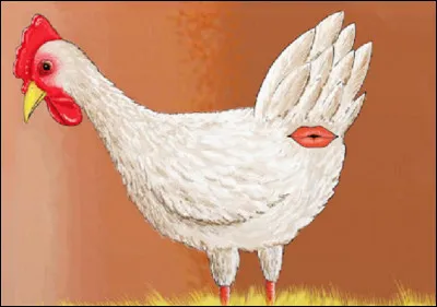 Que signifie l'expression ''Avoir la bouche en cul de poule'' ?