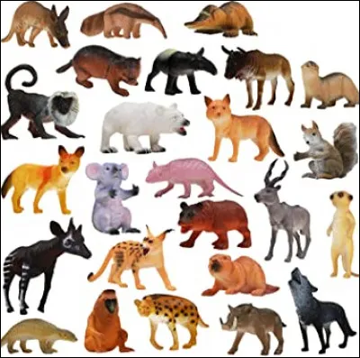 Quel animal préfères-tu ?