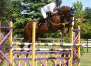 Test Quelle race de cheval t'irait le mieux ?