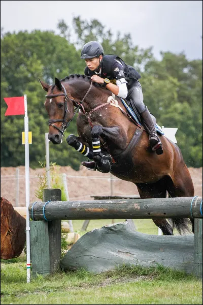 Aimes-tu les compétitions ?