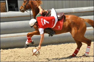 Quelle est ta discipline préférée (2) ?