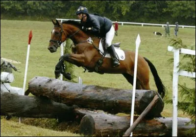 Au cross le poney enchaîne des obstacles...