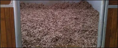 Quand faut-il changer la litière du box ou de la stabulation pour que tout soit entièrement vidé et désinfecté ?