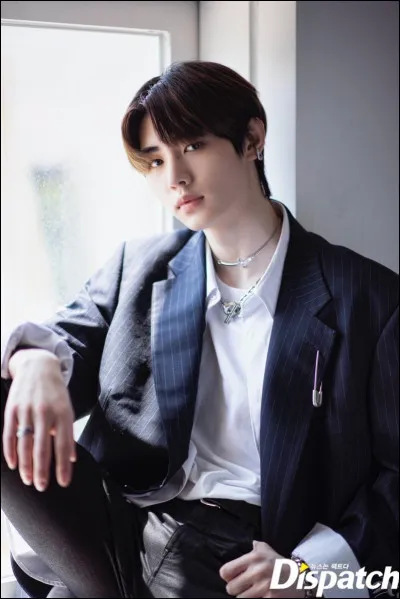 Avant d'être idole, Sunghoon était ?