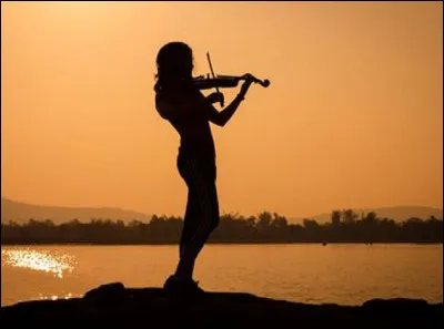 Le violon est l'instrument de prédilection de quelle chanteuse ?