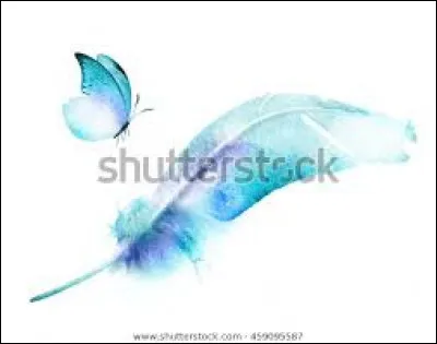 Quelle "chose" a conduit Vol du Papillon jusqu'aux Hautes Pierres ?