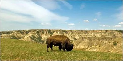 Qu'est-ce qui couvre la majeure partie de l'Etat ?