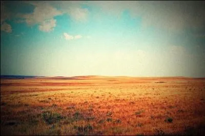 Quelles sont les principales ressources de l'Etat ?