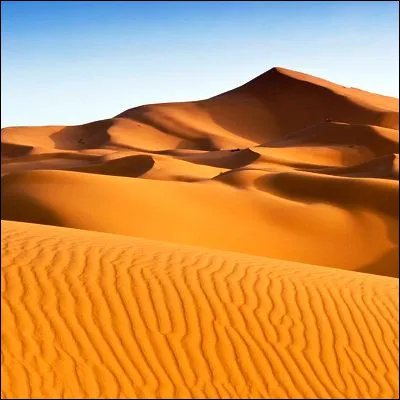 Comment s�appelle la partie centrale du d&eacute;sert du Sahara, situ&eacute;e au nord du Niger et surnomm&eacute;e le d&eacute;sert des d&eacute;serts ?