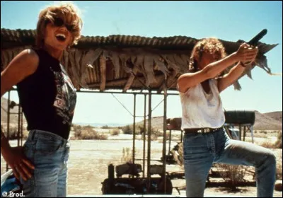 Deux amies décident de faire un road-trip qui leur fera franchir toutes les limites. Quel est ce film ?