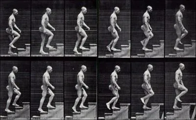 Dans une salle de cinma, le spectateur voit dfiler :