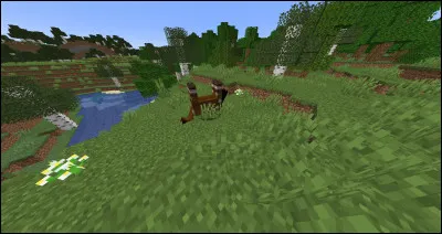 Quels noms permettent aux mobs de se retourner ?