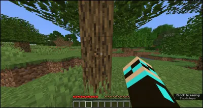 Quel était le premier nom de Minecraft ?