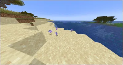 Quel item n'a pas besoin de Nether Stars pour être fabriquer ?