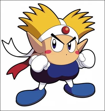 Qui est le petit garçon ?