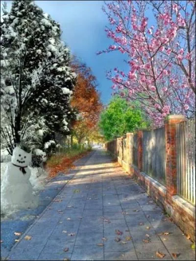 Qui a compos 'Les Quatre Saisons' ?