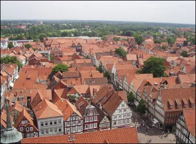 Sa fleur se cueille &agrave; la lousse, c'est le...