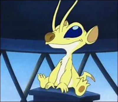 Comment s'appelle l'expérience 221 ?