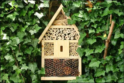 Quel est le nom de ce type d'hôtel ?