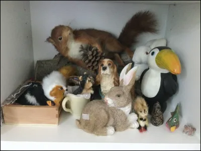 Quel est ton animal favori ?