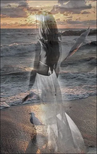 Qui aimait regarder les filles qui marchent sur la plage quand elles se déshabillent" ?