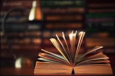 Quelle est ta matière littéraire préférée ?